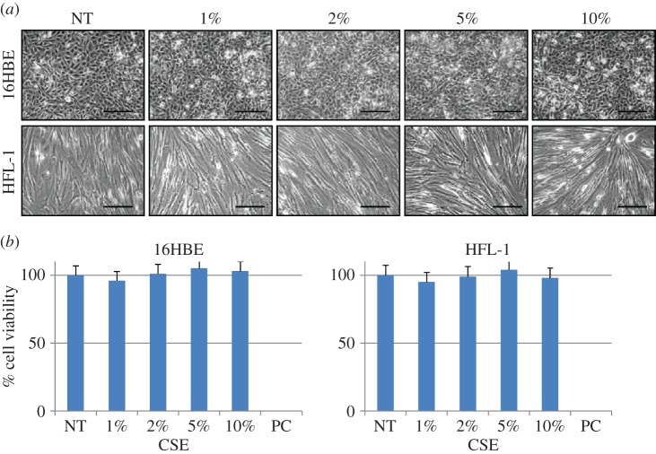 Figure 2.