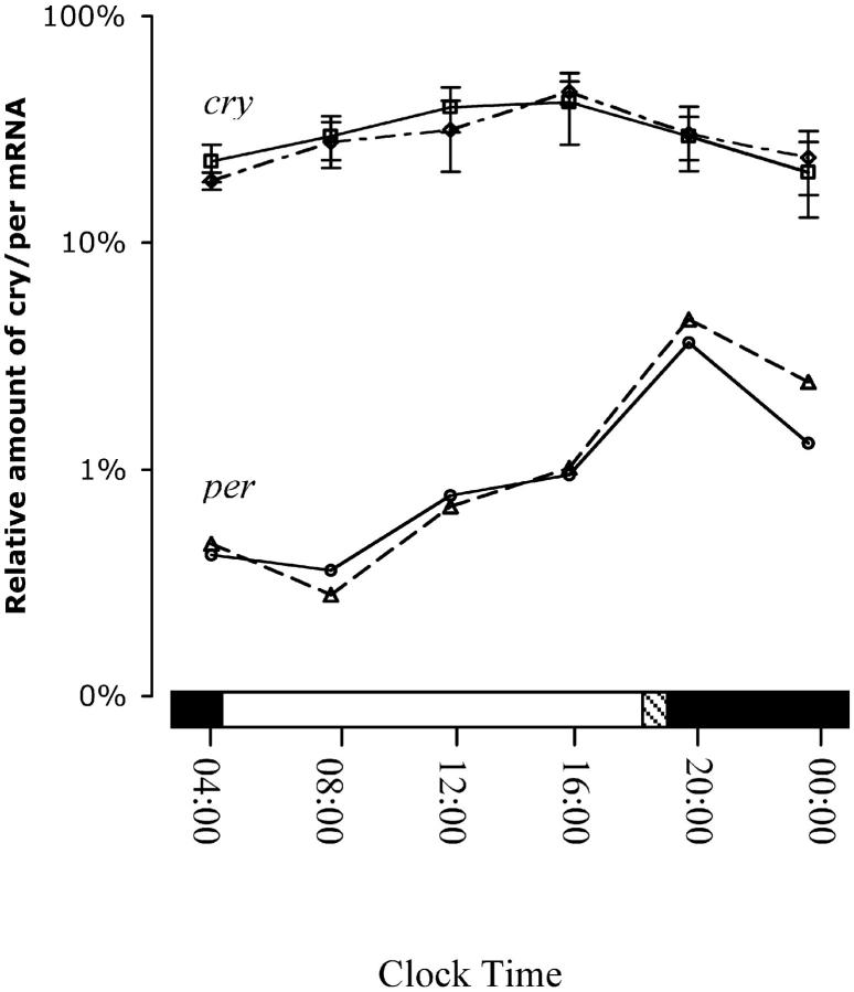 Figure 3.—