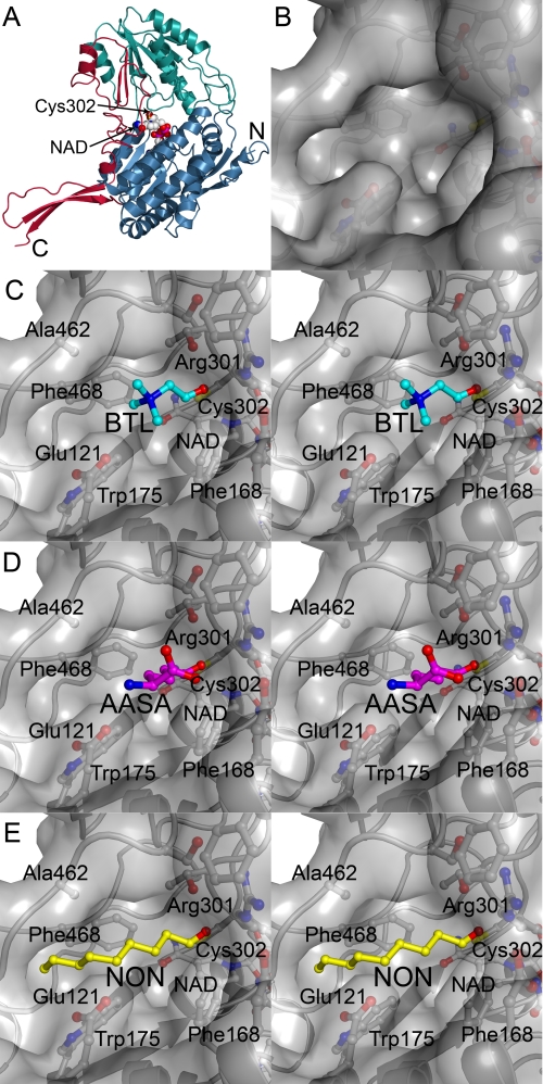 FIGURE 2.