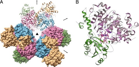 FIGURE 1.