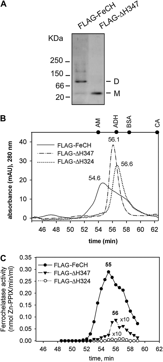 Figure 5.