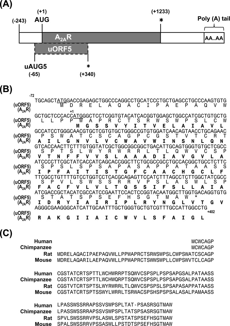 FIGURE 1.