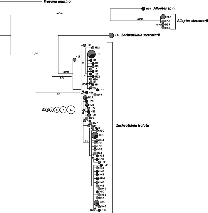 Fig. 4