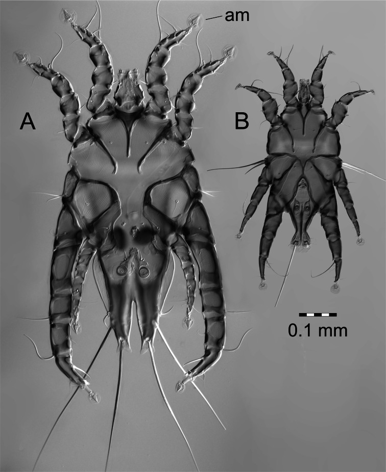 Fig. 1