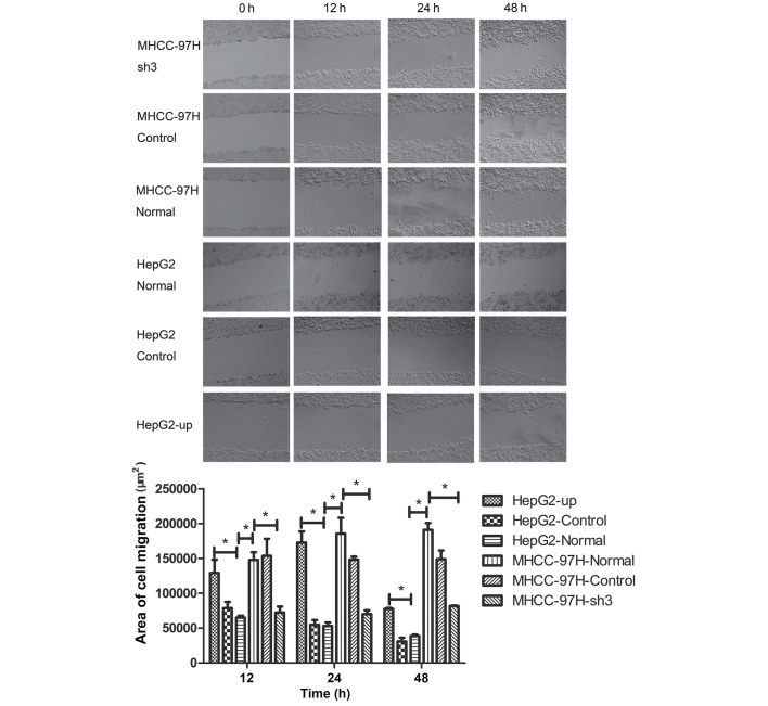 Figure 5.