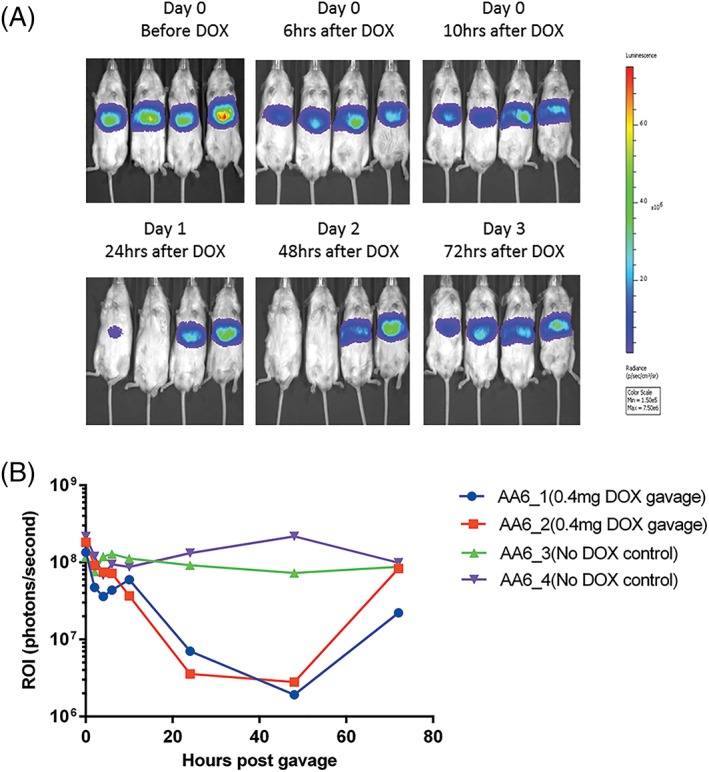 Figure 4