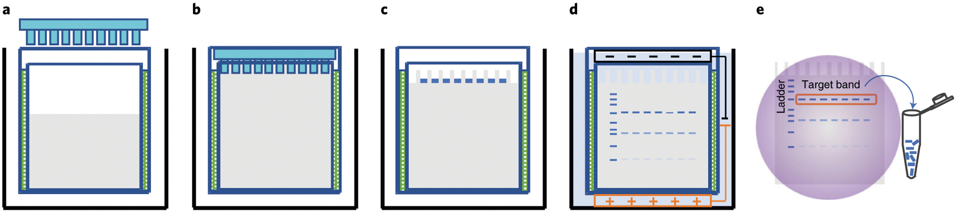 Fig. 7 |