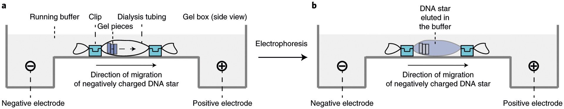 Fig. 9 |