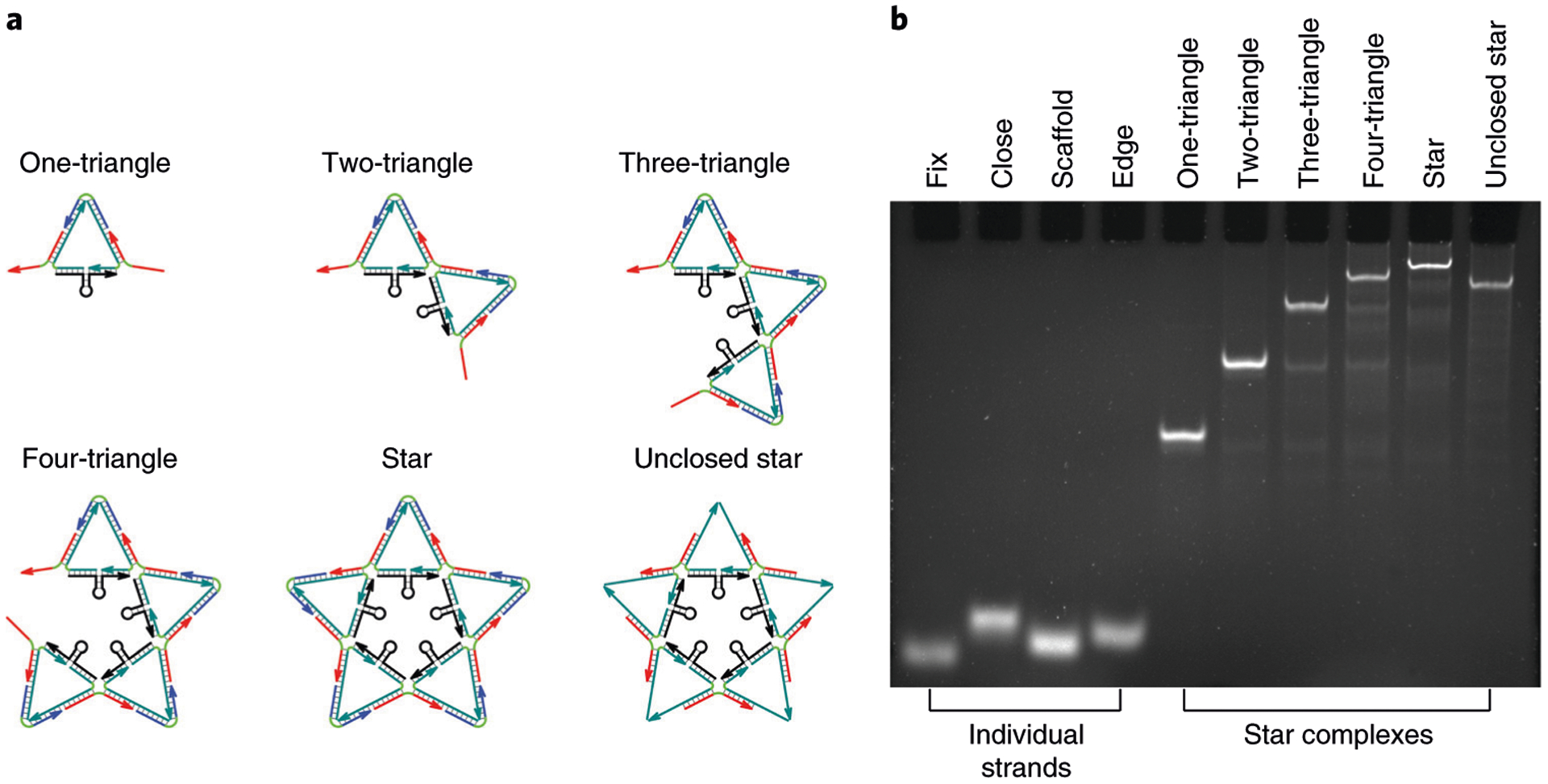 Fig. 8 |