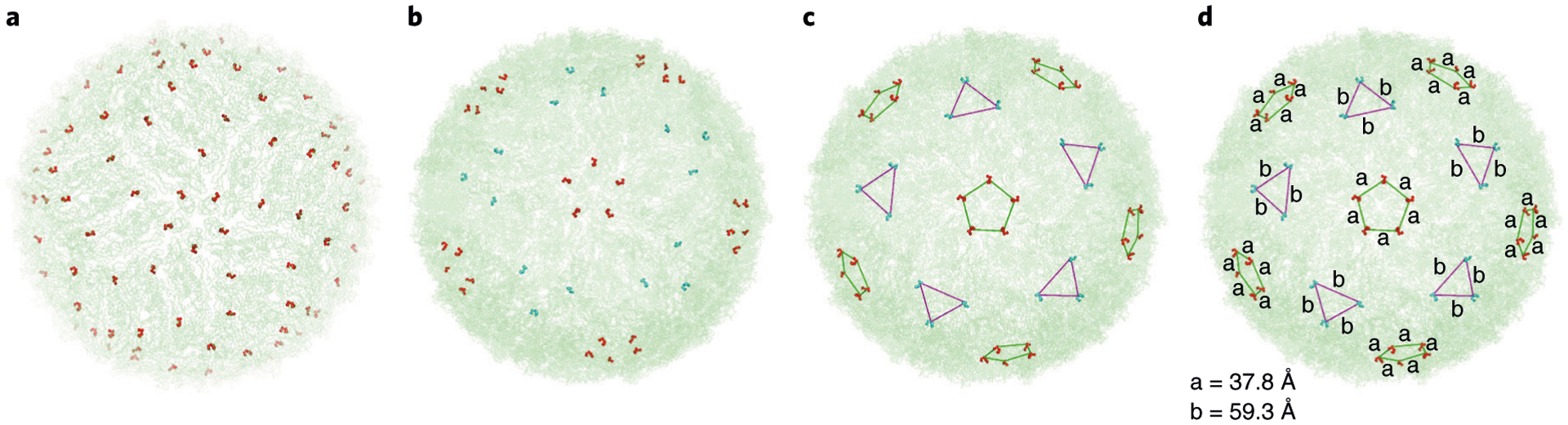 Fig. 4 |