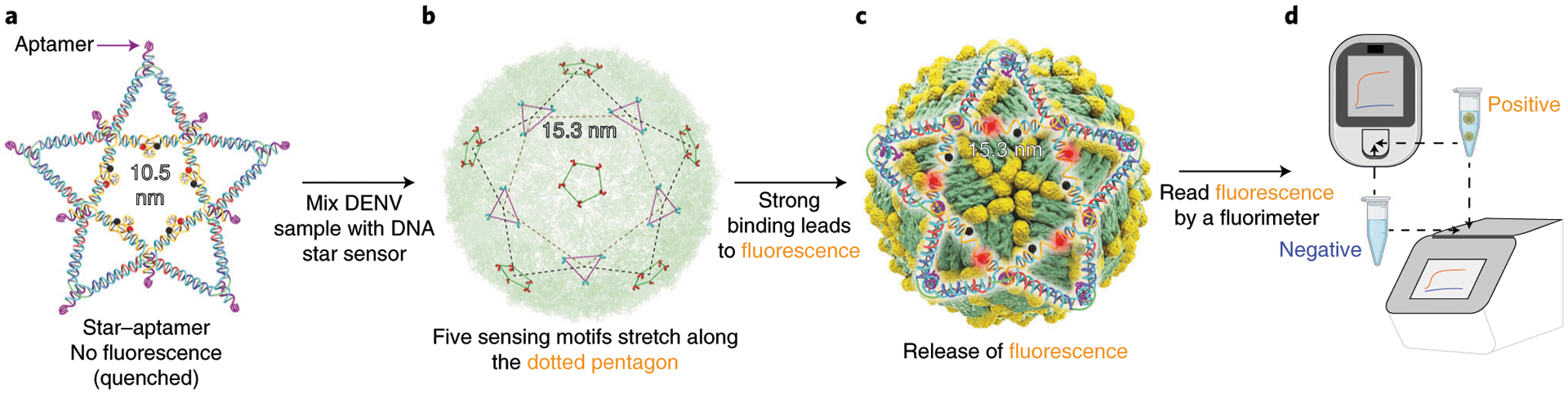 Fig. 3 |