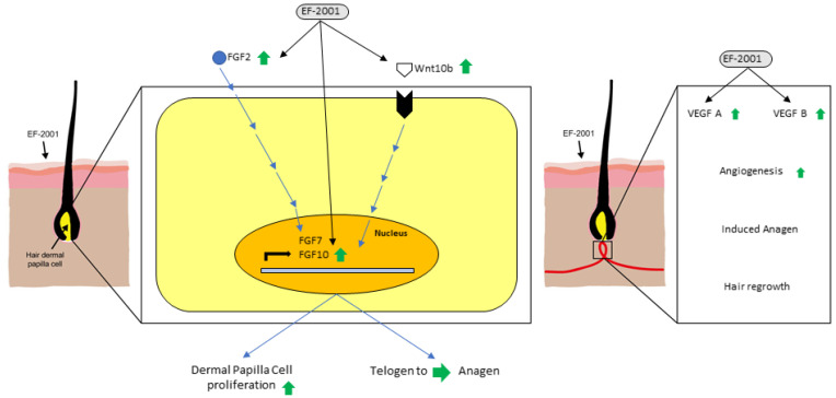 Figure 8