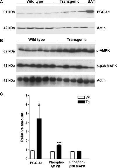 FIG. 6.