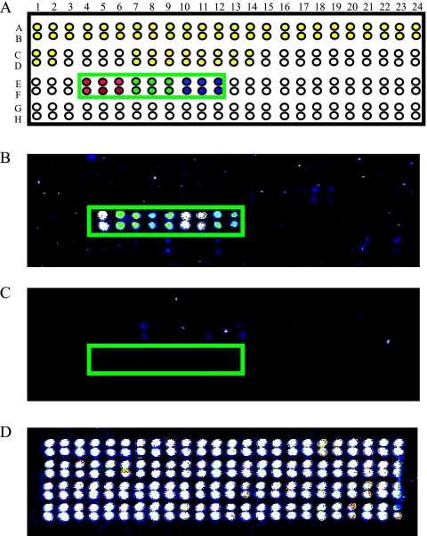 FIG. 4.