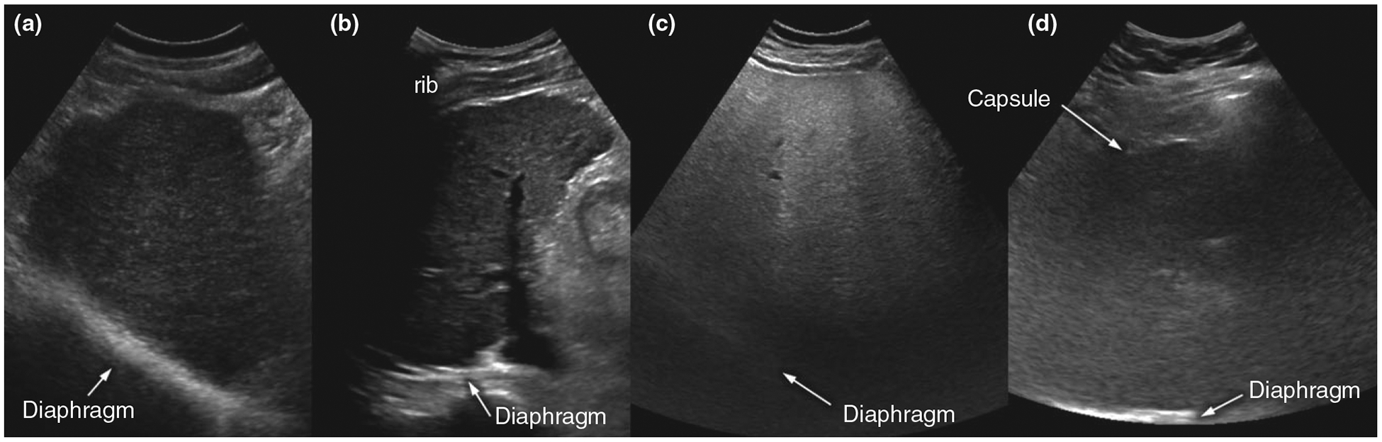 Figure 2 |