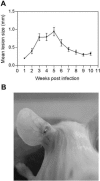 FIG. 1.