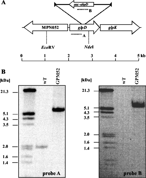 FIG. 4.