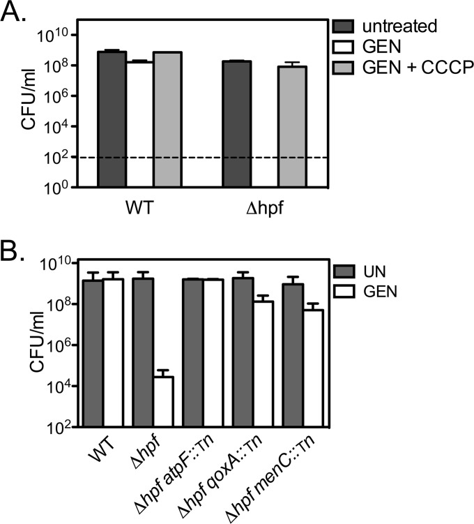 FIG 3