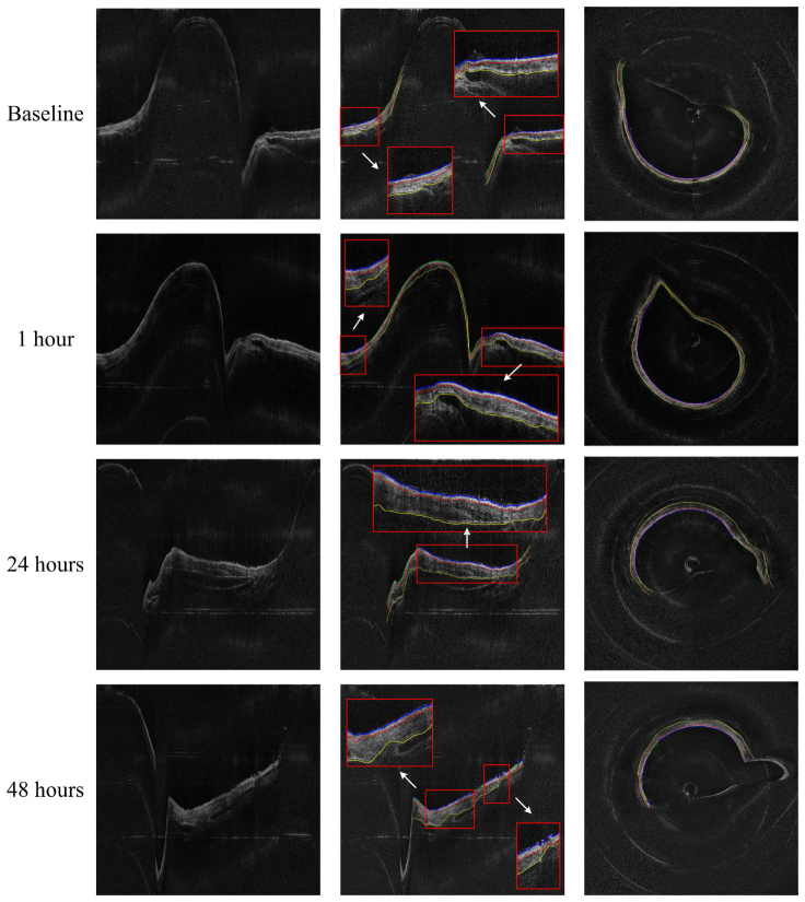 Fig. 9