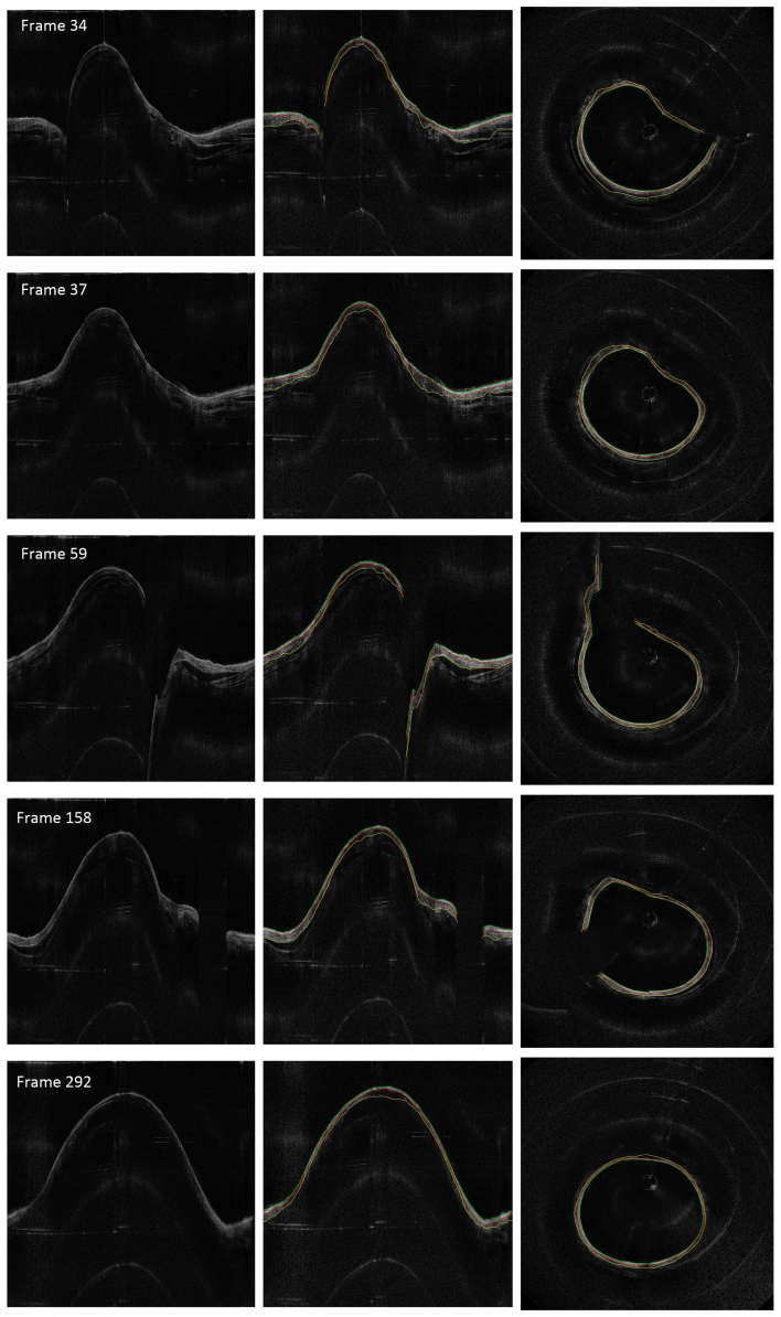 Fig. 7