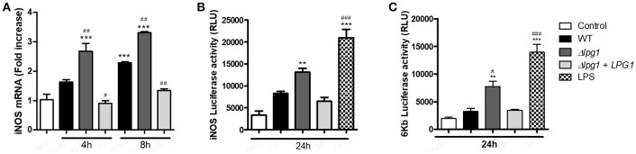 Figure 5