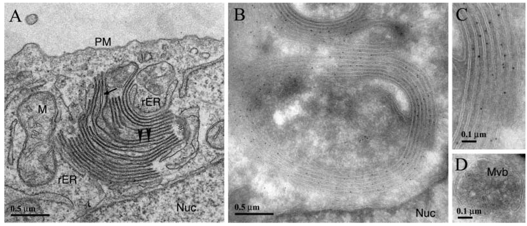 Fig. 10