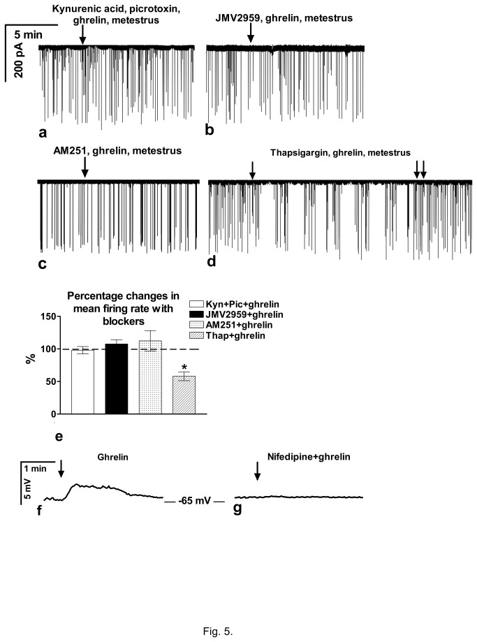 Figure 5