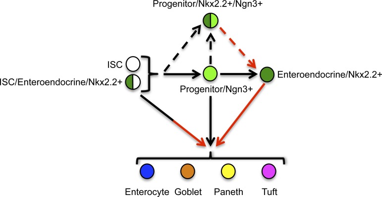 Fig. 9.