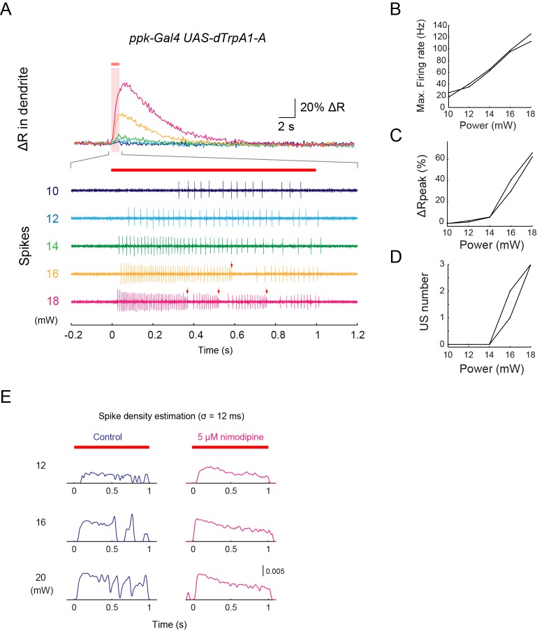 Figure 3—figure supplement 2.