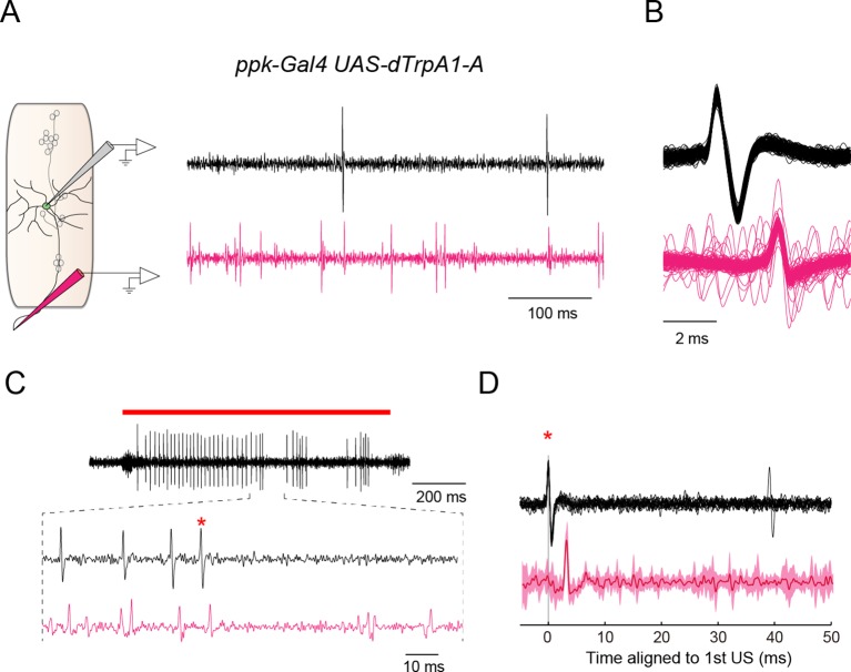 Figure 3—figure supplement 3.