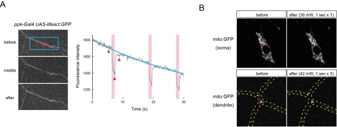 Figure 1—figure supplement 2.