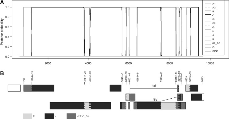 FIG. 2.