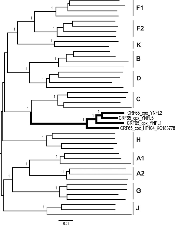 FIG. 1.