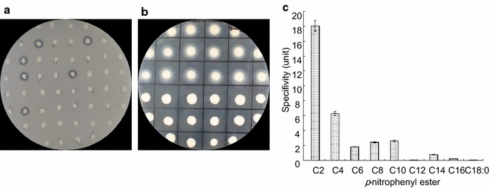 Fig. 1