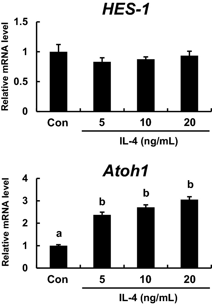 Fig. 3