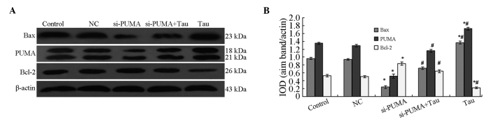 Figure 7.