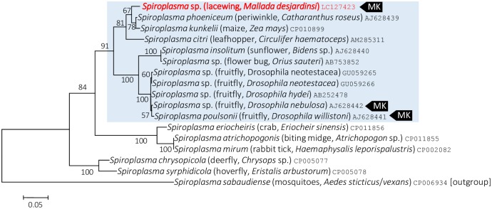 Fig 6