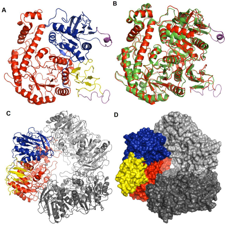 Figure 2