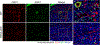 Extended Data Fig. 3 |