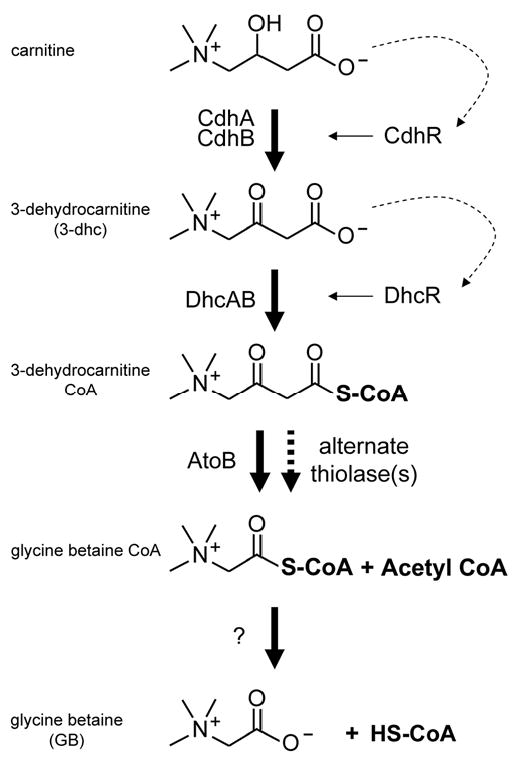 Fig. 2