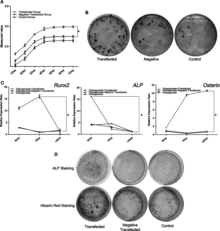 Fig. 4