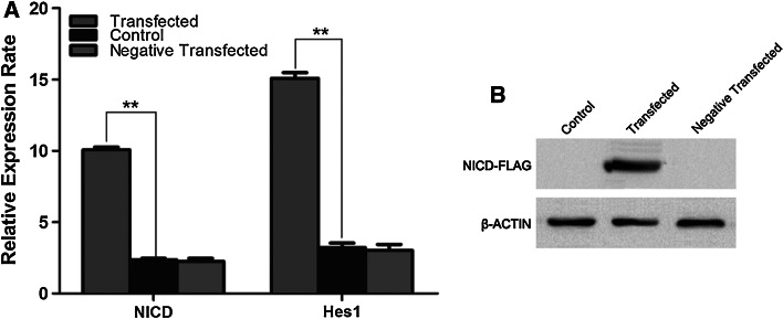 Fig. 3