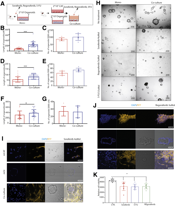 Figure 11