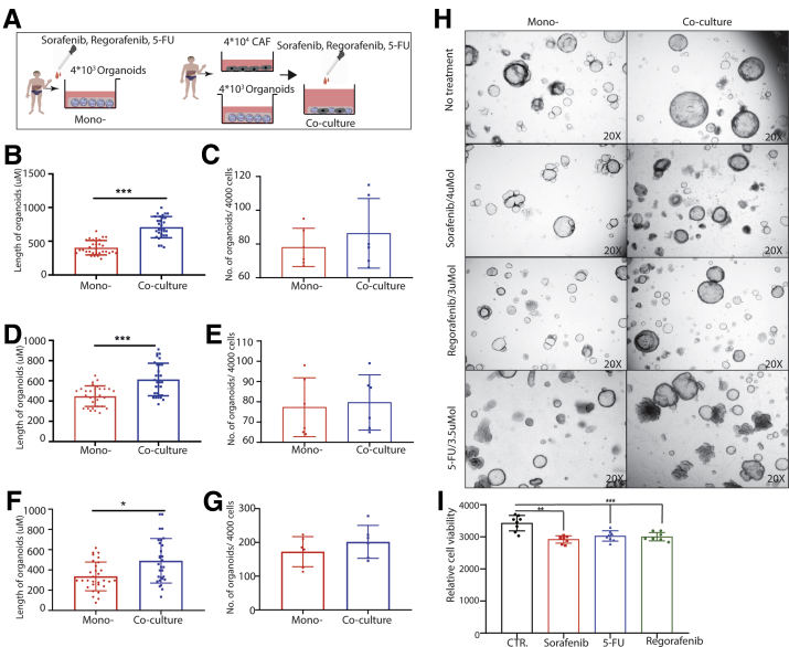 Figure 12