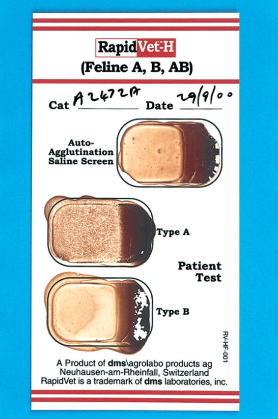 Fig 1.