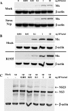 FIG. 2.