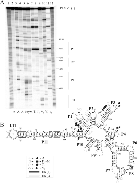 FIG. 6.