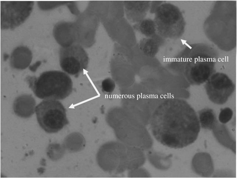 Fig. 2