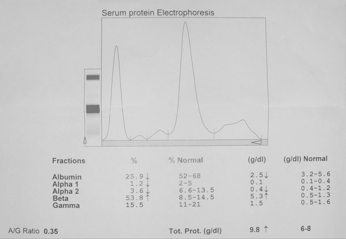 Fig. 1