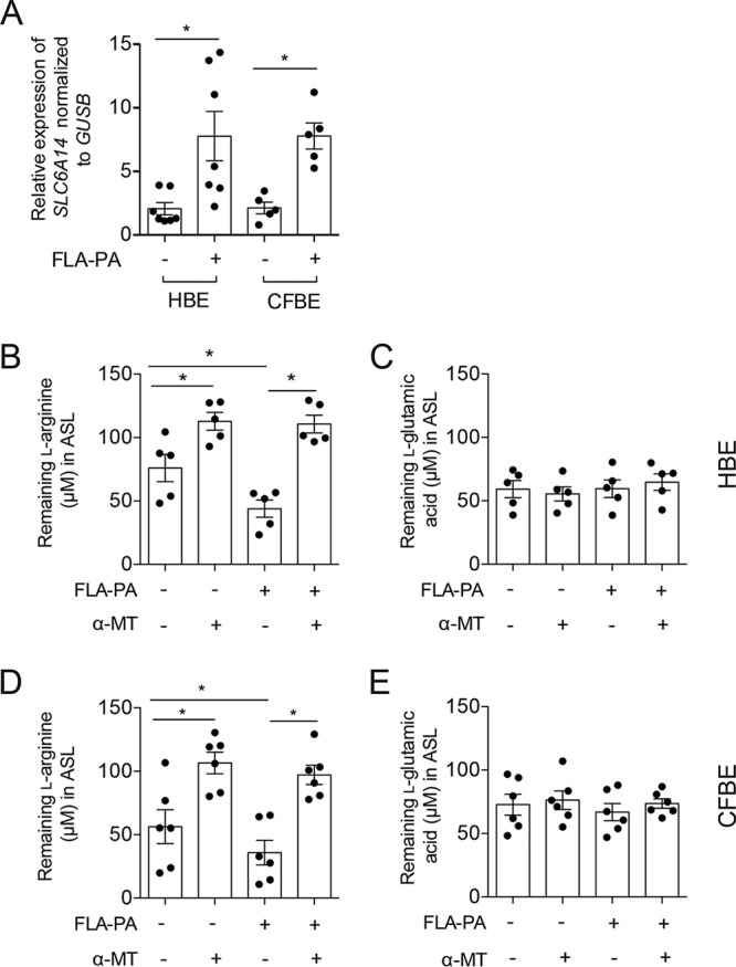 FIG 3 